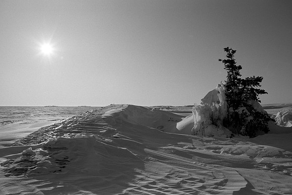 Islet, Yellowknife Bay, 1986