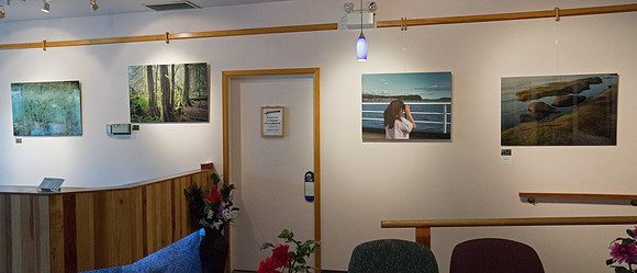 The Centre Gallery, Gabriola, 2015