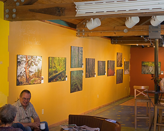Artworks, Gabriola BC 2014