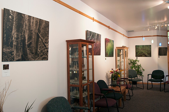 Centre Gallery, Gabriola BC 2011