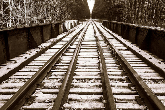 Frosty Tracks