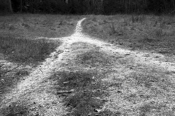 Crossing Paths, Gabriola Island