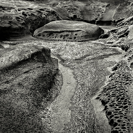Gabriola Island Shoreline Number 19