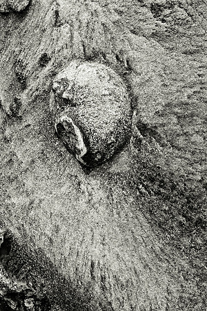 Gabriola Island Rock Forms Number 17