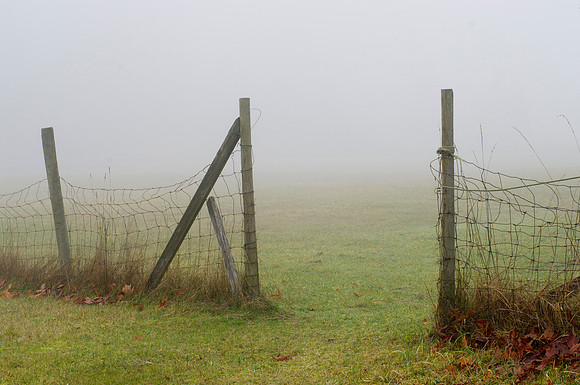Fence in Fog, Gabriola Island