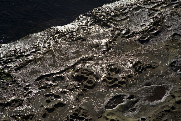 Gabriola Island Shoreline Number 50