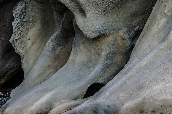 Gabriola Island Rock Forms Number 33