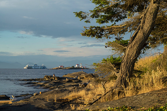 Gabriola Island Shoreline Number 58