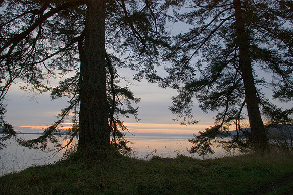 Sunrise, Drumbeg Park
